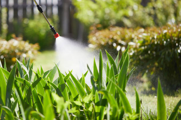 24/7 Emergency Mosquito Control experts in Johnsonville, SC