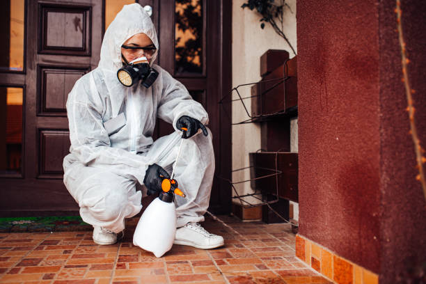 Reliable Mosquito Control contractor in Johnsonville, SC by Show Me Pest Control